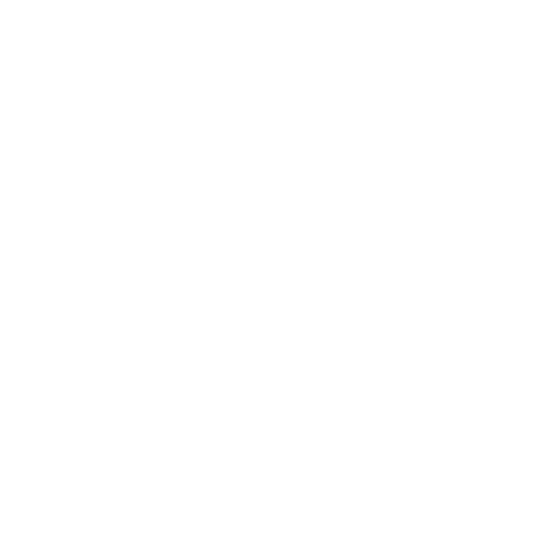 Japan Green Tea FUJI